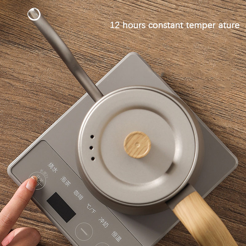 Electric Kettle Gooseneck - 110v 220v Kettle teapot goose neck