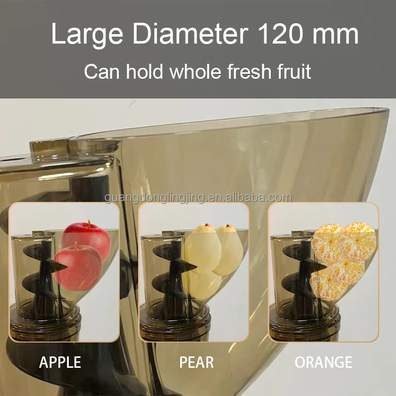 300W 4'72'' Hands-Free Batch J - огляд і ціна Juicer Cold Press Slow