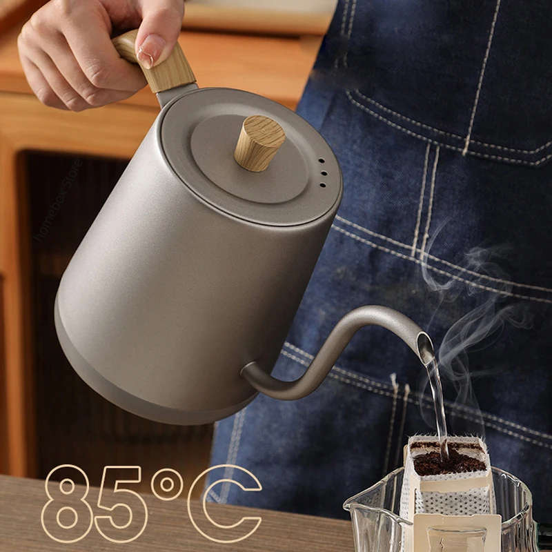 110V/220V Gooseneck Electric K - огляд і ціна Electric Kettle Gooseneck