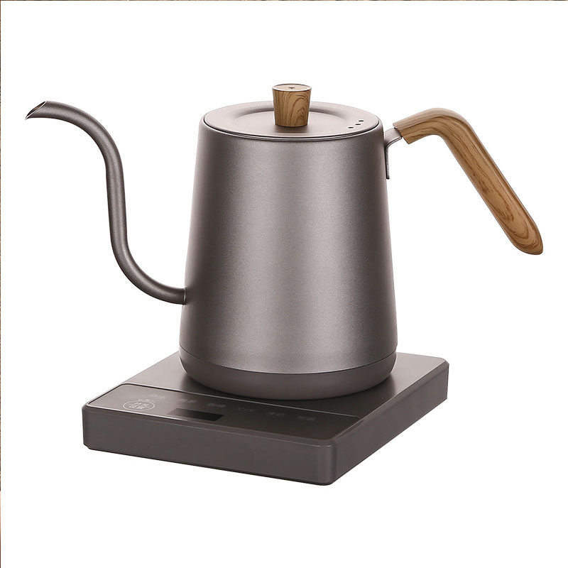 110v 220v Kettle teapot goose  - огляд і ціна Electric Kettle Gooseneck