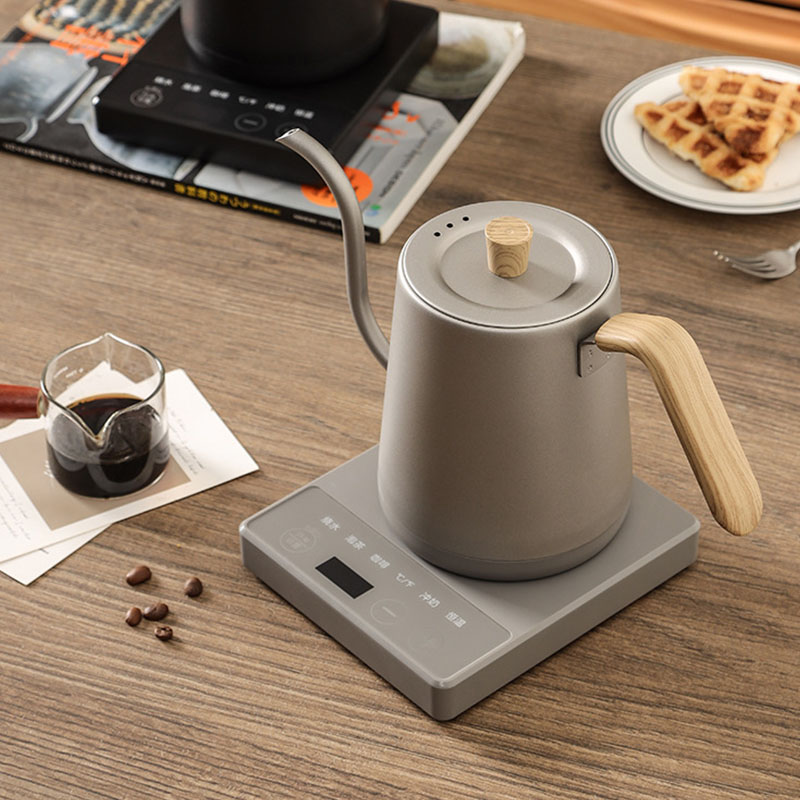 110v 220v Kettle teapot goose  - огляд і ціна Electric Kettle Gooseneck