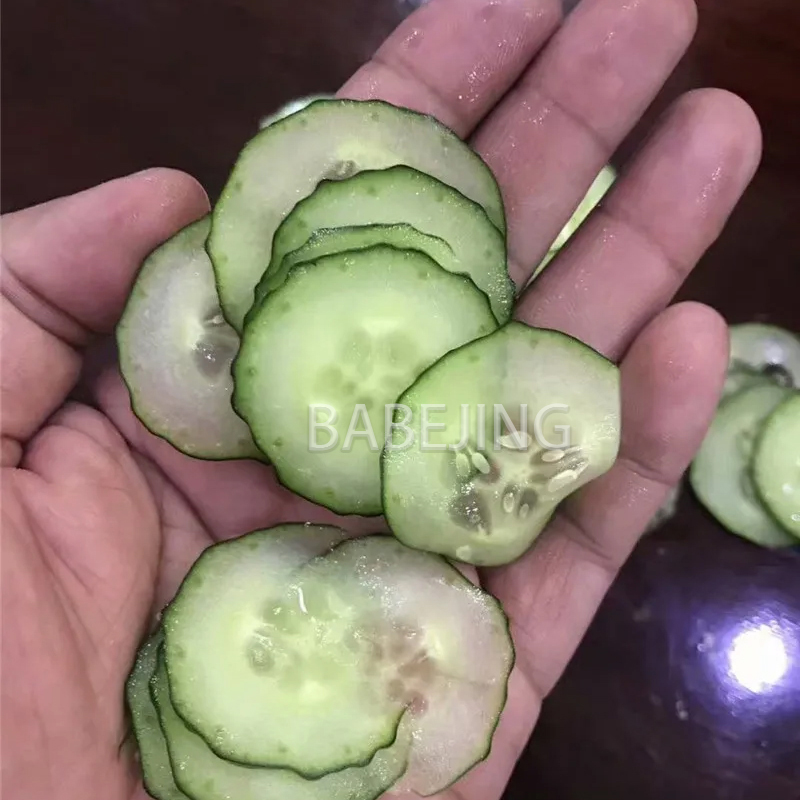 Electric Mini Scallion Chopper - огляд і ціна Kitchen Appliances Commercial