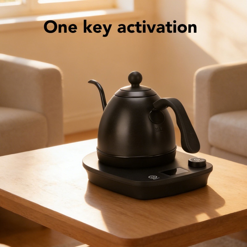 1000W Electric Gooseneck Kettl - огляд і ціна Electric Kettle Gooseneck