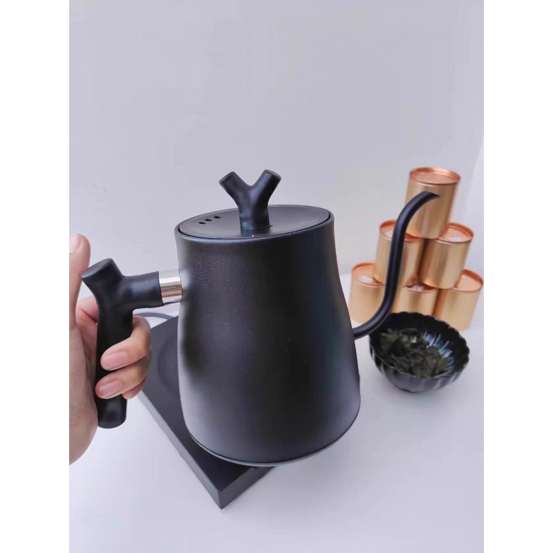 1000W Intelligent Constant Tem - огляд і ціна Electric Kettle Gooseneck
